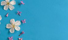 生活的色彩_600字