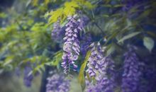 友谊花开遍地_450字