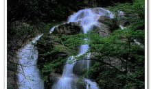 玉美人智擒飞天盗