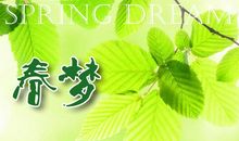 我不相信眼泪_1500字