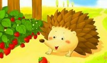 小刺猬贝贝_200字