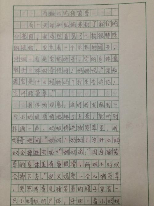 有趣的一天_300字