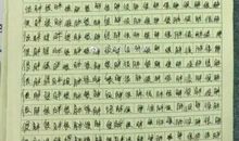 我敬佩的一个同伴_500字