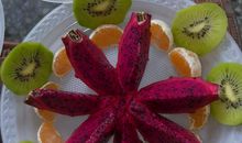 果盘的快乐_600字