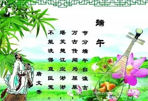 龙舟节校友_450字