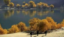 千年等一世_650字