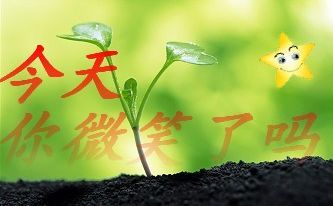 微笑的构图：微笑的附件心_350字