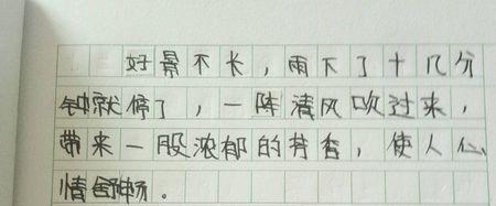 我和你在一起_450字