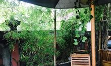 竹林，小屋_1000字