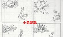 二年级看图写话：小白兔种白菜_450字