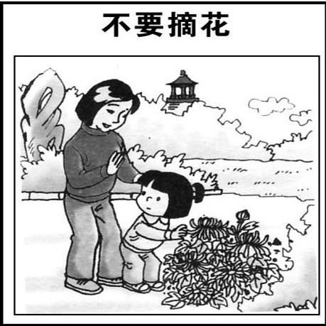 两级观看图片：不要抽象花_250字