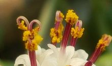 荒芜世界的时光_450字