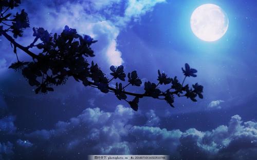 美丽的夜晚_900字