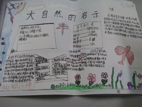 自然启示2 _400字