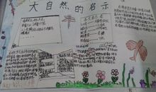 大自然的启示二_400字