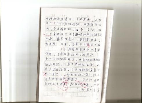 三年级叙事组成：我是一个小设计师_350字
