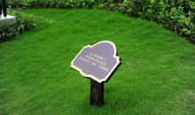 爱护草坪，人人有责_300字