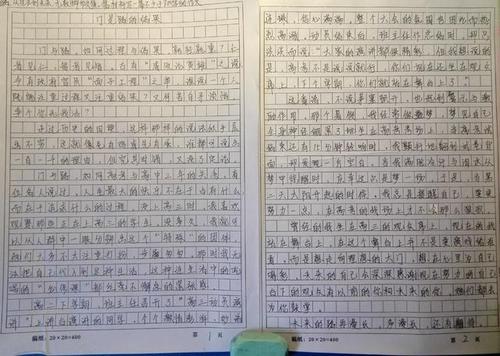 三年级叙事成分：我们的家庭_350字