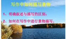 写景作文：那古槐_1500字