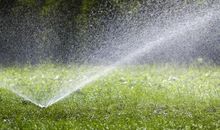 成长是快乐的灌溉_1500字