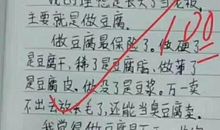 关于愧疚的作文：我真愧疚_550字