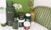 我要做一颗大树_800字