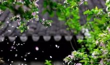 在痛苦中等待_800字