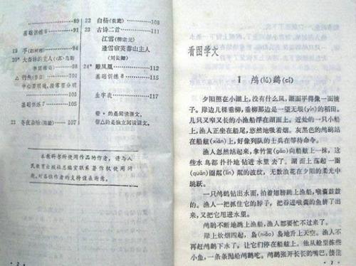 “我的朋友邱少云”阅读_400字后