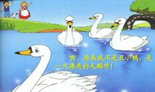 我喜爱的一个故事——谈《丑小鸭》_500字