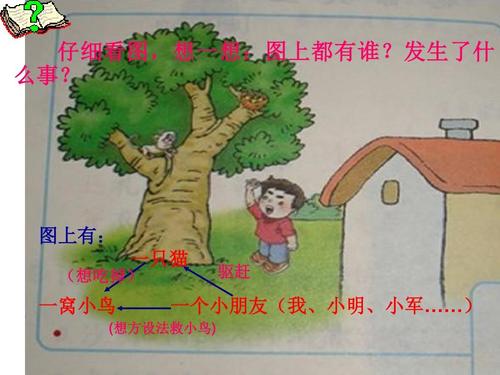 保存一只小鸟_300字