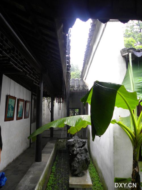 听，旧的地方“雨”_650字