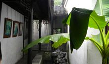 听，老地方又“下雨了”_650字