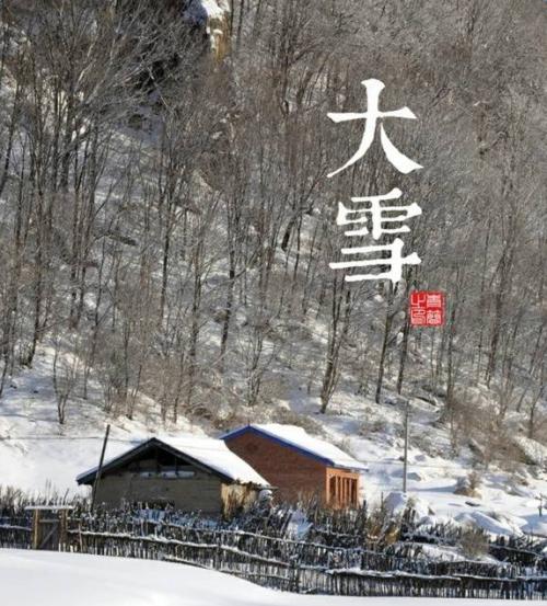 雪上的组成：雪_650字
