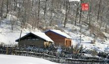 关于大雪的作文：大雪_650字