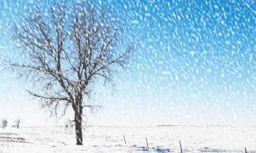雪的构图：雪_3000字