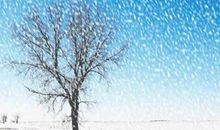 关于大雪的作文：大雪_3000字