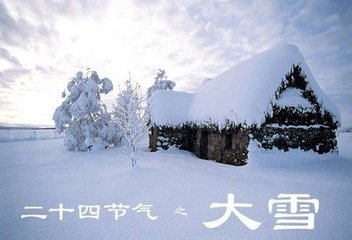 雪上的组成：雪_550字