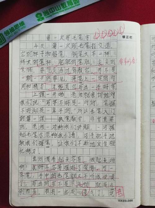 小学三个叙事组成：令人难忘的东西_800字