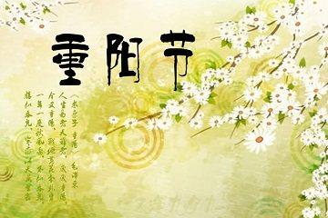 我的阿姨_200字