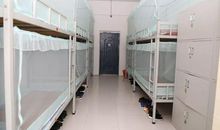 观《冲出亚马逊》有感_550字