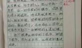 课外小能手_300字