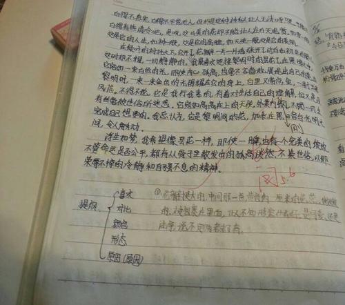 现实_400字