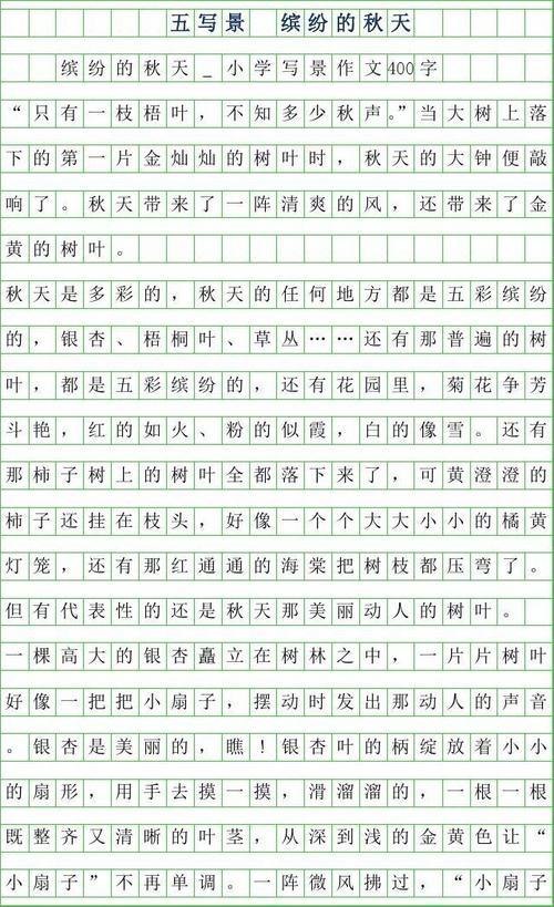 写文本：国家夜晚_500字