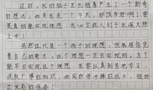 初三读后感作文：《红奶羊》读后感（六）_750字