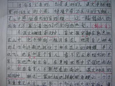 查看视图感_500字