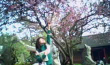 [时间征文]桃花树下的秋千_900字