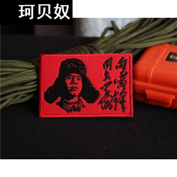 从雷丰同志_800字