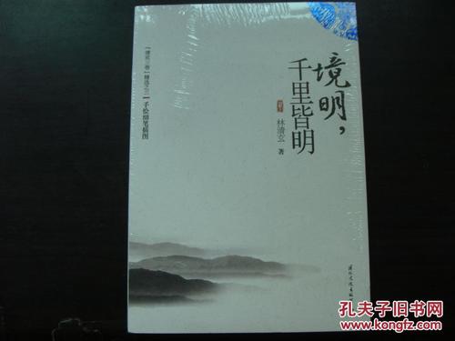 阅读“镜子，数千英里”林庆轩是一种_650字的感觉