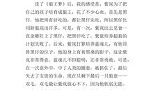 《煎饼弟弟写给米糕哥哥的信》读后感_250字