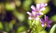 《走路上学》观后感_550字